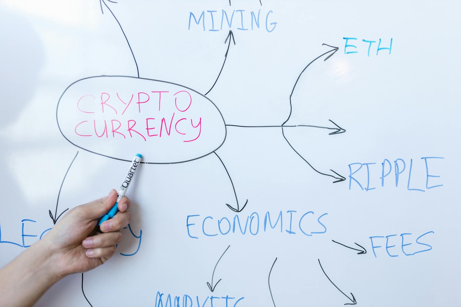 Ledger Pauses U.S. IPO Plans Amid Volatile Crypto Markets
